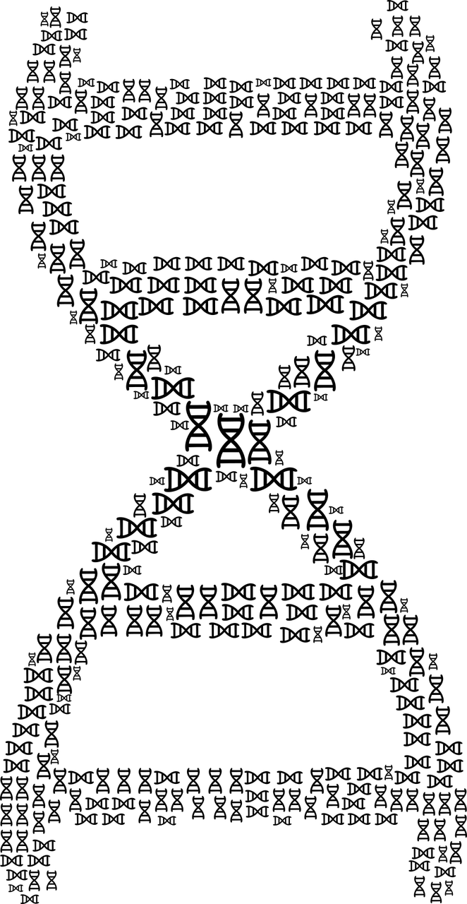 核酸检查，重要性及应用于现代医学的深远影响