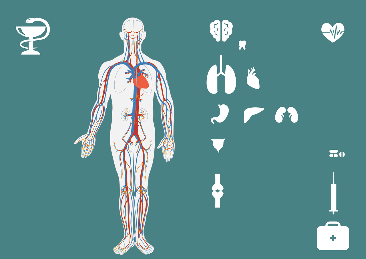 全面解析弓形虫检查方法，守护您的健康，了解弓形虫如何检查！