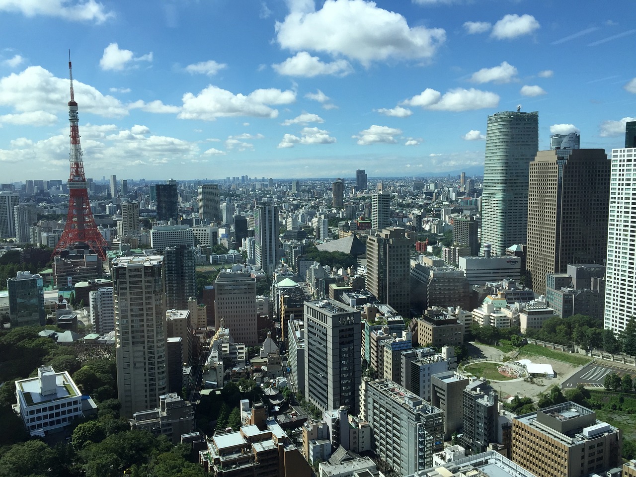 全国西瓜最新行情分析与概览