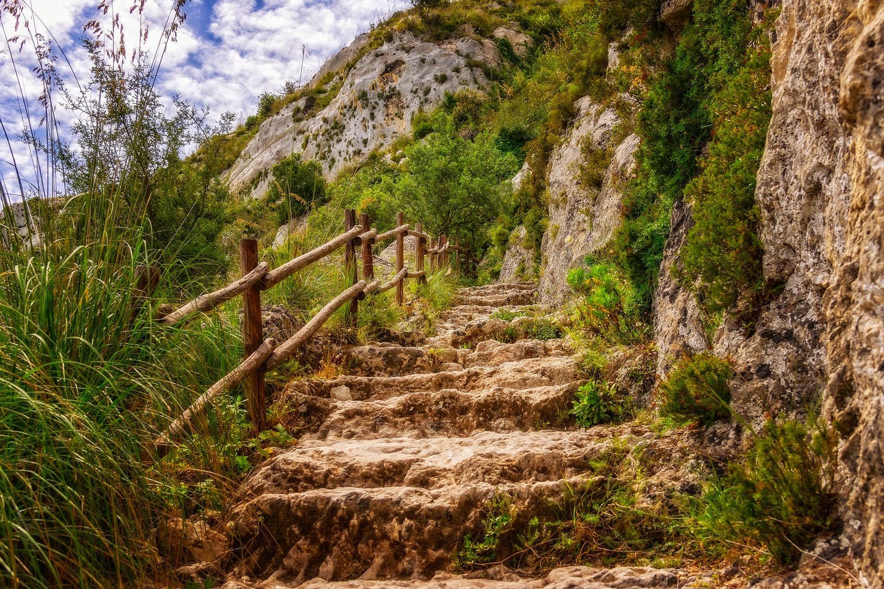 择天记最新章节揭秘，奇幻之旅探寻神秘世界的大门