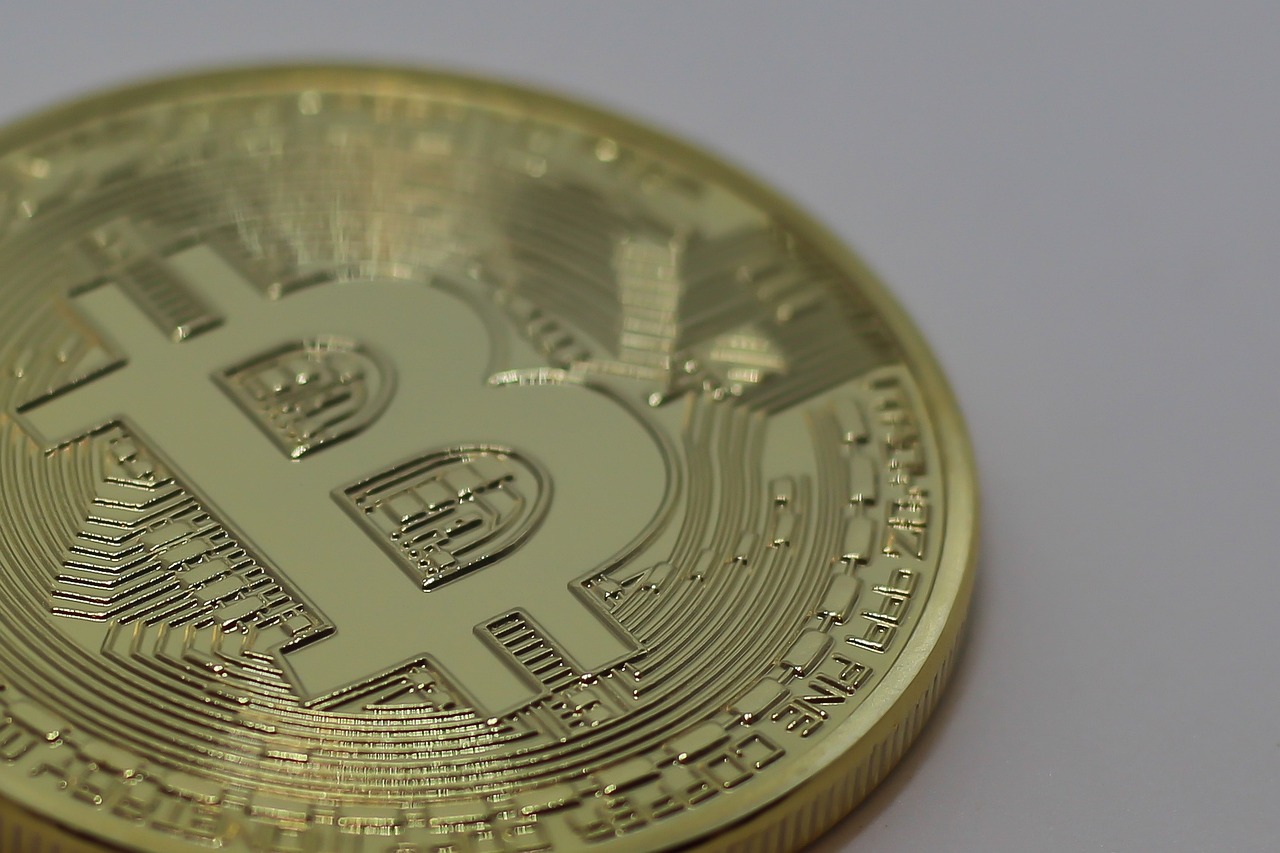 最新贝母价格动态分析与趋势预测