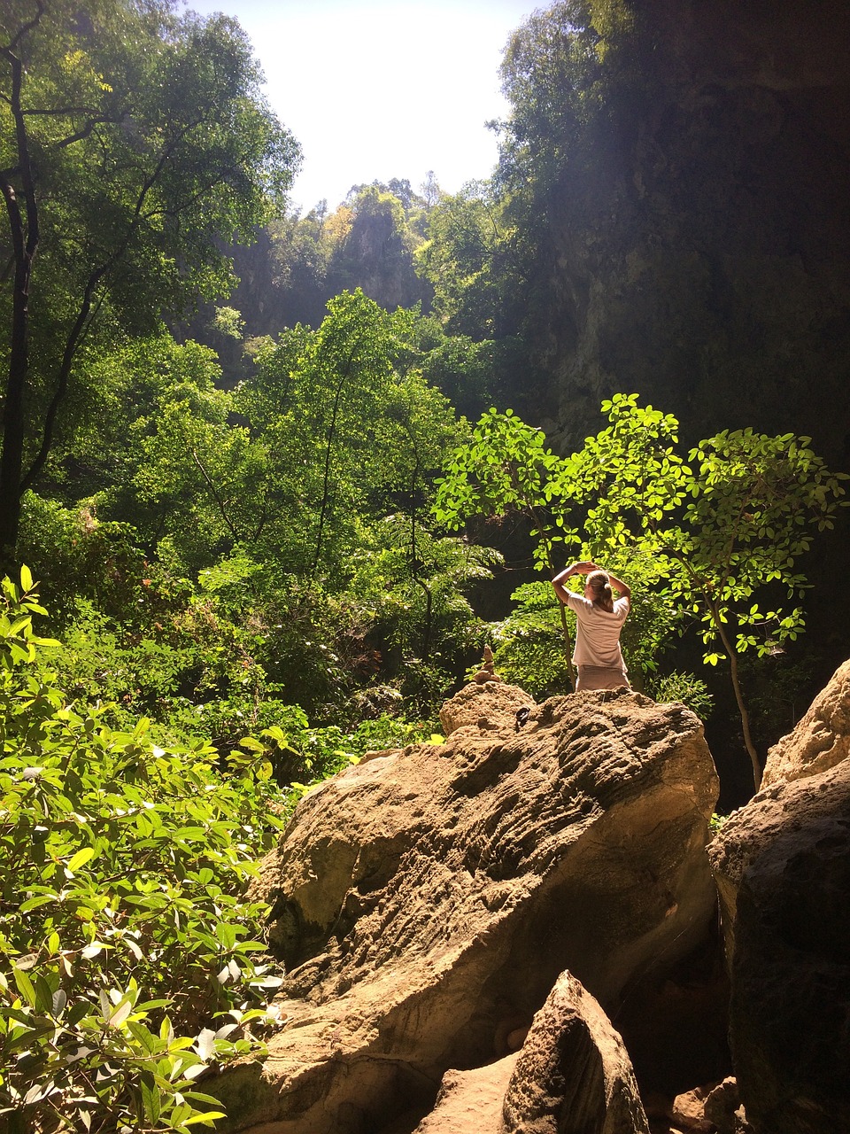 威信贴吧最新动态，探索与发现的旅程