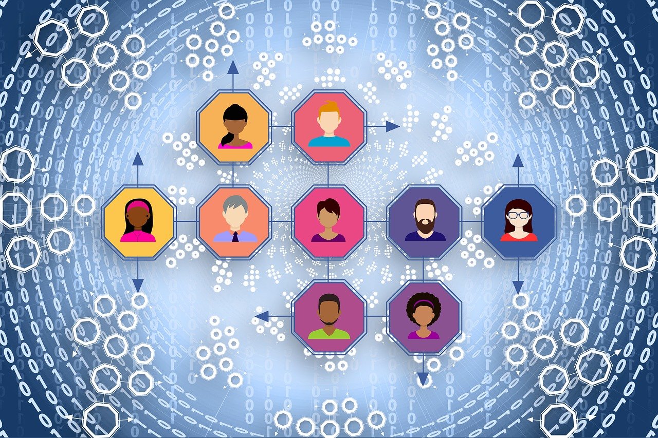 新澳精选资料免费提供开,高效实施解答解释计划_Harmony80.834