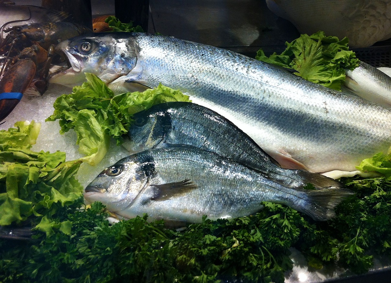 探索海洋美食新境界，海鲜最新吃法大盘点
