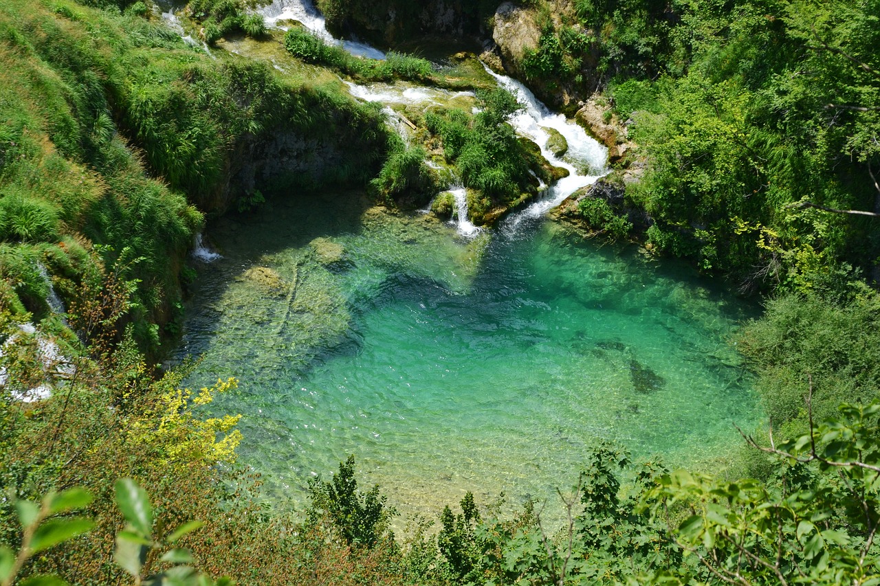 朴翔最新动态，音乐之旅揭开新篇章