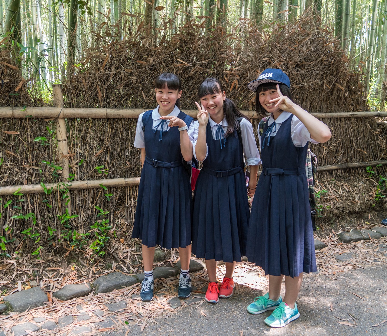 最新学生电影免费，探索电影艺术的全新体验之旅