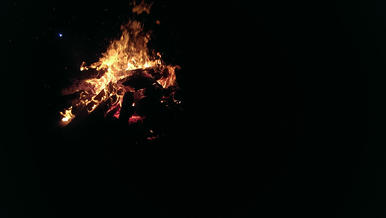 最新广场舞风潮，阿拉伯之夜华丽舞步