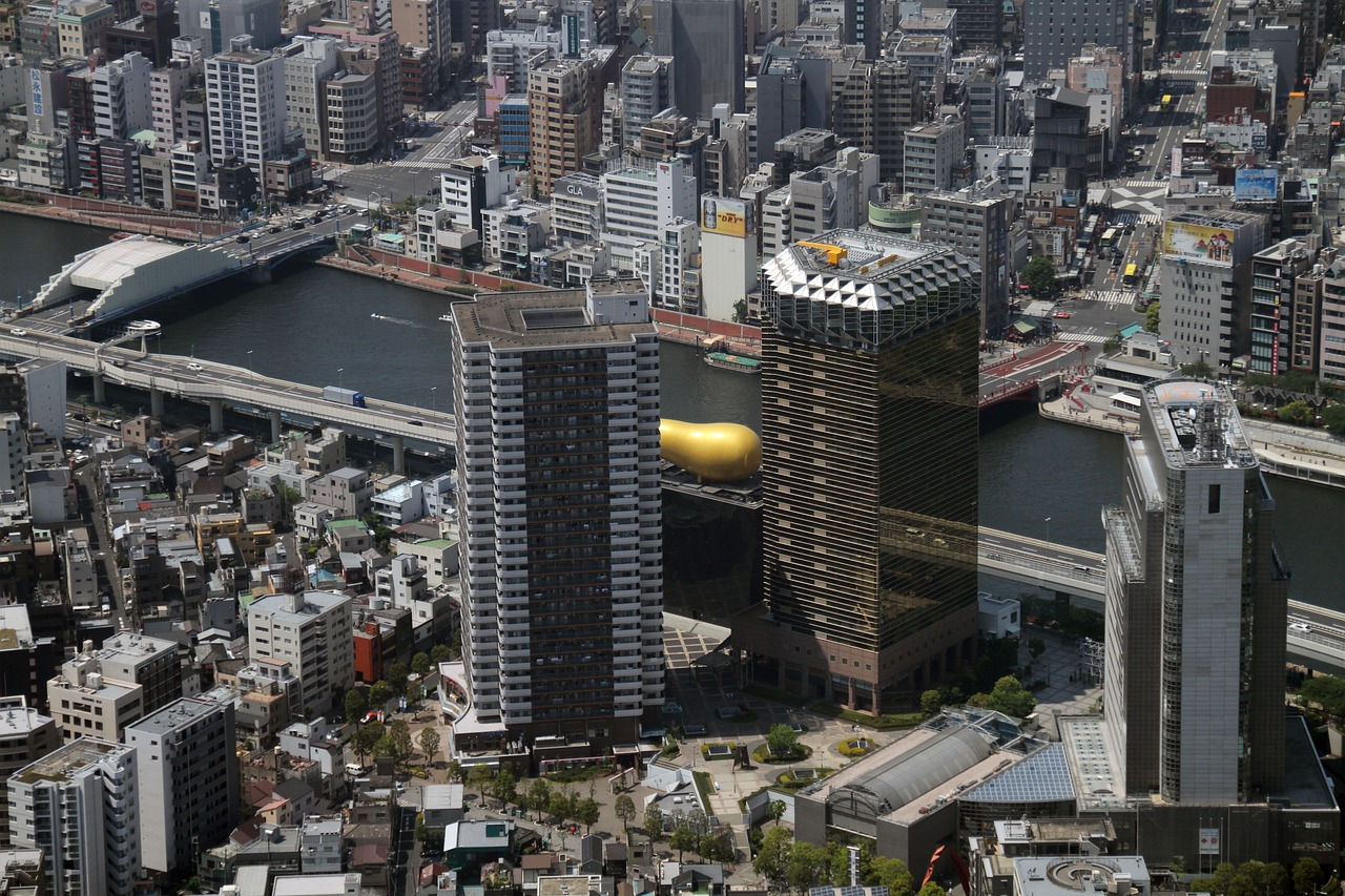 大冶罗桥街办最新规划揭秘，塑造未来城市崭新面貌